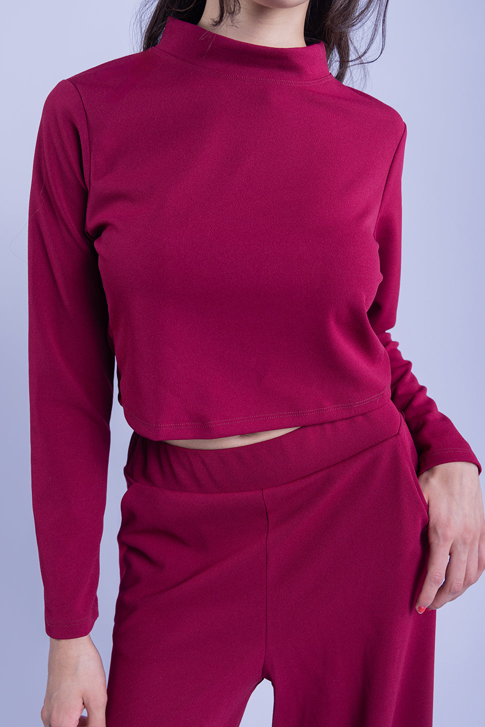 Crop top manga larga cuello de tortuga