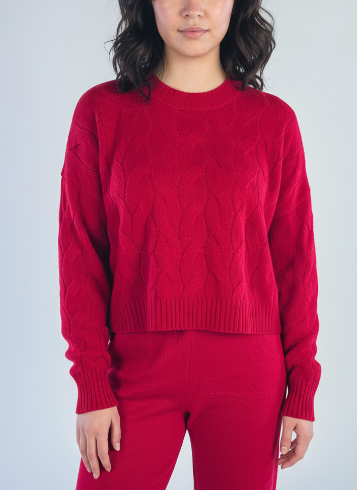 Conjunto de dos piezas de suéter trenzado y pantalonera