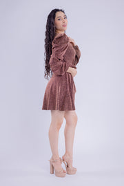 Vestido brilloso con manga floffy