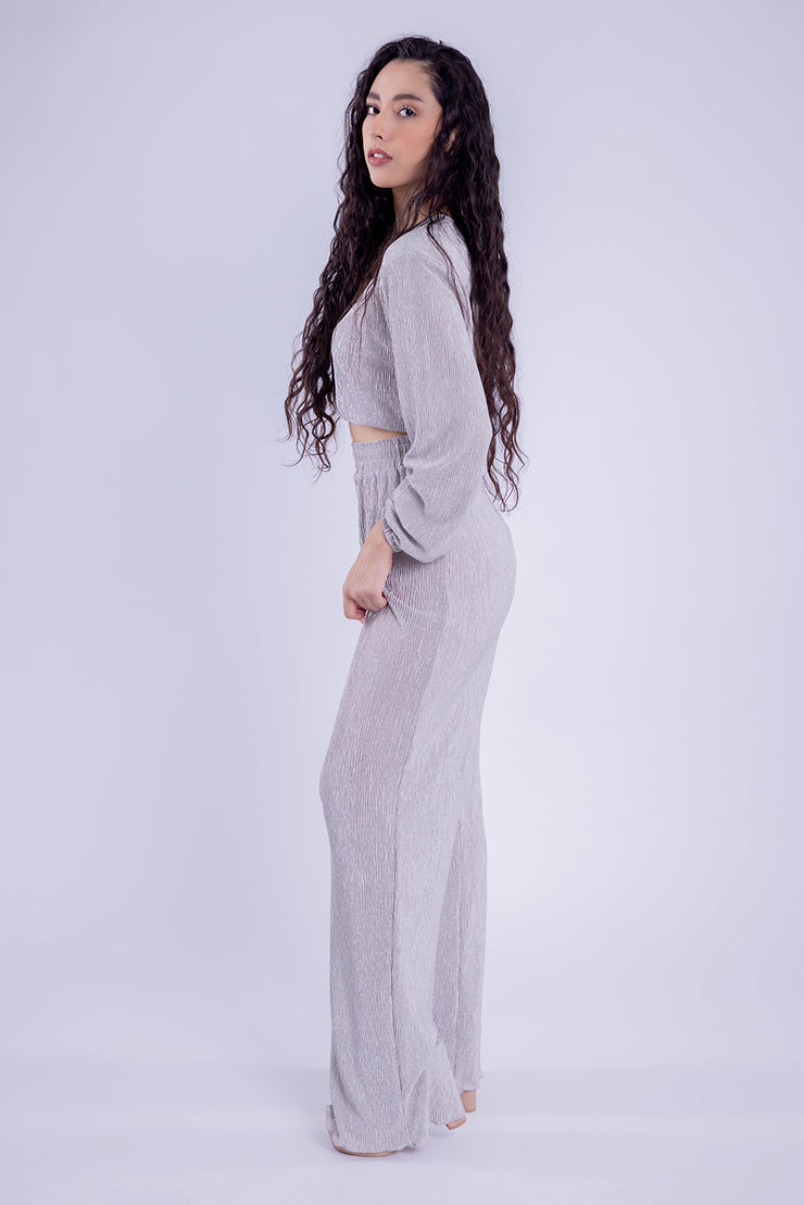 Conjunto brilloso de blusa y pantalón