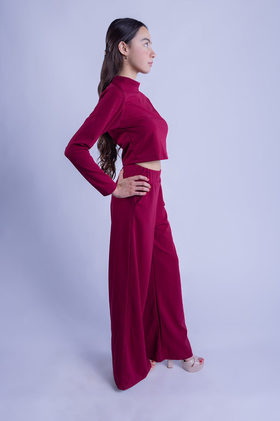 Crop top manga larga cuello de tortuga